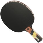 Raquette tennis de table cornilleau excell 2000 carbon rouge 30962