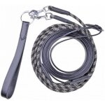 Rnes allemandes noir cheval / cob