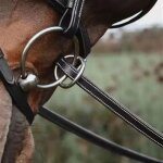 R�nes pour cheval en caoutchouc avec 7 arr�toirs en cuir dy'on