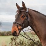 R�nes pour cheval en caoutchouc avec 7 arr�toirs en cuir, fermeture a anneaux, sans col dy'on