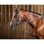 R�nes pour cheval en cuir dy'on hunter 1 / 2