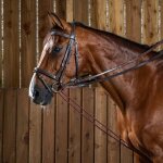 R�nes pour cheval en cuir dy'on working 5 / 8