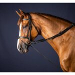 R�nes pour cheval en cuir et nylon dy'on 5 / 8