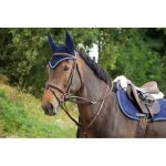 R�nes pour cheval hfi thiedeman