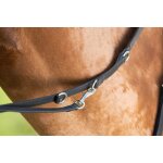 R�nes pour cheval hfi thiedeman
