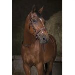 R�nes pour cheval sangle norton pro