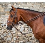 R�nes de tirage 1 / 2 cuir pour cheval dy'on