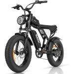 Ridstar q20min - v�lo electrique - moteur 1000w - batterie 48v 15ah - autonomie 100km - max 45km / h ...