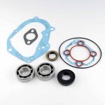 Roulement ou joint spi moteur teknix pour scooter malaguti 50 f15 firefox lc neuf