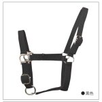 Serre - tte de cheval malone court, bande en alliage, dessin d'anneau couleur, cage bride, ensemble ...