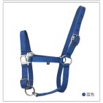 Serre - tte de cheval malone court, bande en alliage, dessin d'anneau couleur, cage bride, ensemble ...