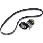 Skf jeu de courroies trap�zo�dales a nervures ford vkma 34110 047903137g, 1136183, 1149503 1316336, 1352451, ...