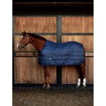 Sous - couverture pour cheval weatherbeeta comfitec thermi - heat 100g