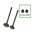 Soupape de moteur d'admission de moto, pices de rechange enine, adapt pour yamaha count225, tw200, ...