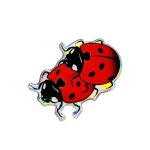 Sticker autocollant 3d coccinelles, 61 x 54 mm