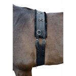 Surfaix teddy noir cheval / cob