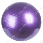 Td ballon de gymnastique 65cm ballon de gym maximale jusqu'� 300 kg avec pompe a air incluse pour pilates ...