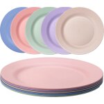 Tianyi - lot de 5 assiette plastique reutilisable, passe au lave - vaisselle et au micro - onde, non ...
