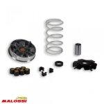 Variateur malossi pour quad kymco 50 mxer 51 7484 / multivar neuf