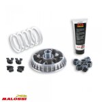 Variateur malossi pour scooter malaguti 500 spider max aprs 2004 5114260 / multivar 2000 neuf
