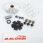 Variateur malossi pour scooter peugeot 50 speedfight 2 518752 / multivar neuf