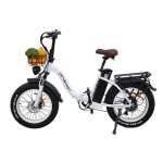 Vlo electrique - drvetion - ct20 - batterie 48v 15ah - moteur 750w - pliant