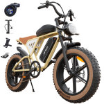 V�lo electrique jansno x70 - 20 pouces - 48v 34ah - moteur 1000w - vitesse maximale 48km / h - autonomie ...
