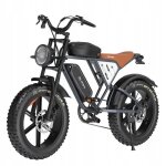 V�lo electrique - jansno - x70m - moteur 750w - double batterie 48v - 80 km autonomie - noir - vitesse ...