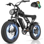 V�lo electrique ridstar q20min - moteur 1000 w - batterie amovible 48 v 15 ah - vitesse maximale 45 km ...