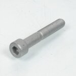 Vis axe de silentbloc de pot echappement pour moto aprilia 125 rs 1999 - 2005 ap8101285