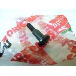 Visserie origine pour moto aprilia 125 rs 1999 - 2005 ap8113413 neuf