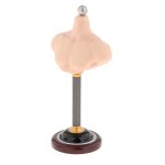 1 / 6 echelle buste masculin soutien tête sculpter support miniature 1 / 6 echelle mâle figurine demi ... 1 / 6 echelle buste masculin soutien tête sculpter support miniature 1 / 6 echelle mâle figurine demi ...