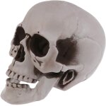 1 pièce taille de vie squelette crâne humain modèle en plastique tête humaine squelette figures sculpture ... 1 pièce taille de vie squelette crâne humain modèle en plastique tête humaine squelette figures sculpture ...