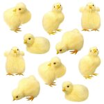 10 pices pques poussins petits poussins mini poulet en peluche animal chirping poulet en peluche jouet ...