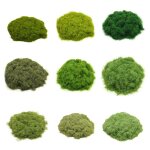 10 mod�les de poudre d'herbe 3mm, simulation de paysage de construction de table de sable, pelouse, mat�riaux ...