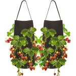 2pcs sac de plantation pour fraise, sac de plantation de pomme de terre , sac potager avec la fenêtre ... 2pcs sac de plantation pour fraise, sac de plantation de pomme de terre , sac potager avec la fenêtre ...