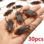 5 - 50 pièces gadget d'halloween en plastique cafards accessoires de décoration de blague en caoutchouc ... 5 - 50 pièces gadget d'halloween en plastique cafards accessoires de décoration de blague en caoutchouc ...