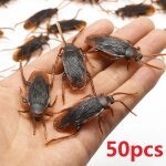 5 - 50 pièces gadget d'halloween en plastique cafards accessoires de décoration de blague en caoutchouc ... 5 - 50 pièces gadget d'halloween en plastique cafards accessoires de décoration de blague en caoutchouc ...