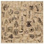 56 pices cratif anatomie humaine physiologie coeur crne organes internes autocollant squelette graffiti ...