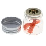 Accessoires de moteur agitateur - mini lampe a alcool avec mche et couvercle, apprentissage pour enfants ...