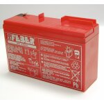 Accessories feber - batterie 6 v. 10 ah. Accessories feber - batterie 6 v. 10 ah.