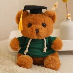 Adorable poupée en peluche docteur ours, cadeau de remise de diplôme pour etudiant, pull ours en peluche ... Adorable poupée en peluche docteur ours, cadeau de remise de diplôme pour etudiant, pull ours en peluche ...