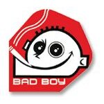 Ailette fl�chette quadro bad boy