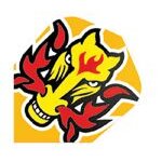 Ailette fl�chette quadro horse