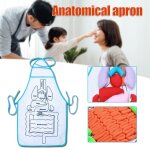 Anatomie tablier pour enfants apprentissage prcoce des organes humains sensibilisation outil educatif ...
