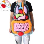 Anatomie tablier organes du corps humain sensibilisation perspectives educatives enfants jouet