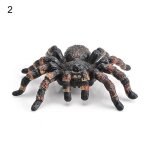 Mod�le animal araign�e, lignes claires antirouille, fabrication fine, mod�le animal pour d�cor
