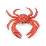 Modle d'animal ocanique, petite andorre blanche, poisson clown, pieuvre, etoile de mer, mduse rose, ...