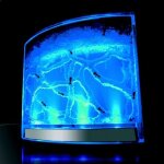 Antworks vivarium pour fourmi a led milieu evolutif a eclairage