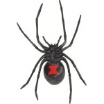 Araignée veuve noire Araignée veuve noire